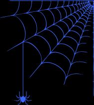 spider web