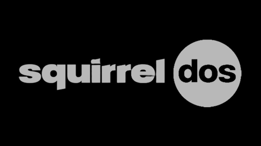 Squirrel 2